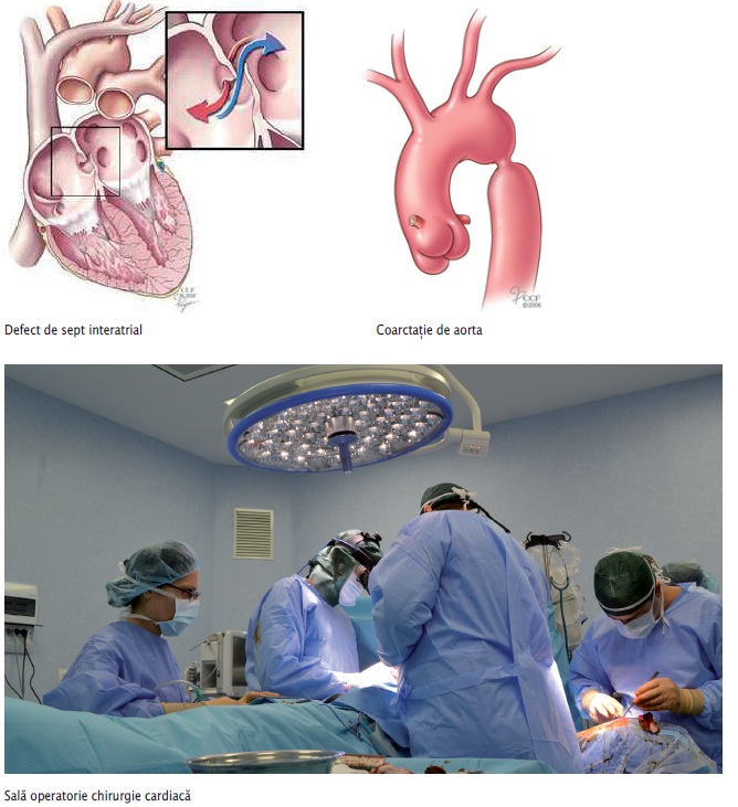 fig_10_cardiaca